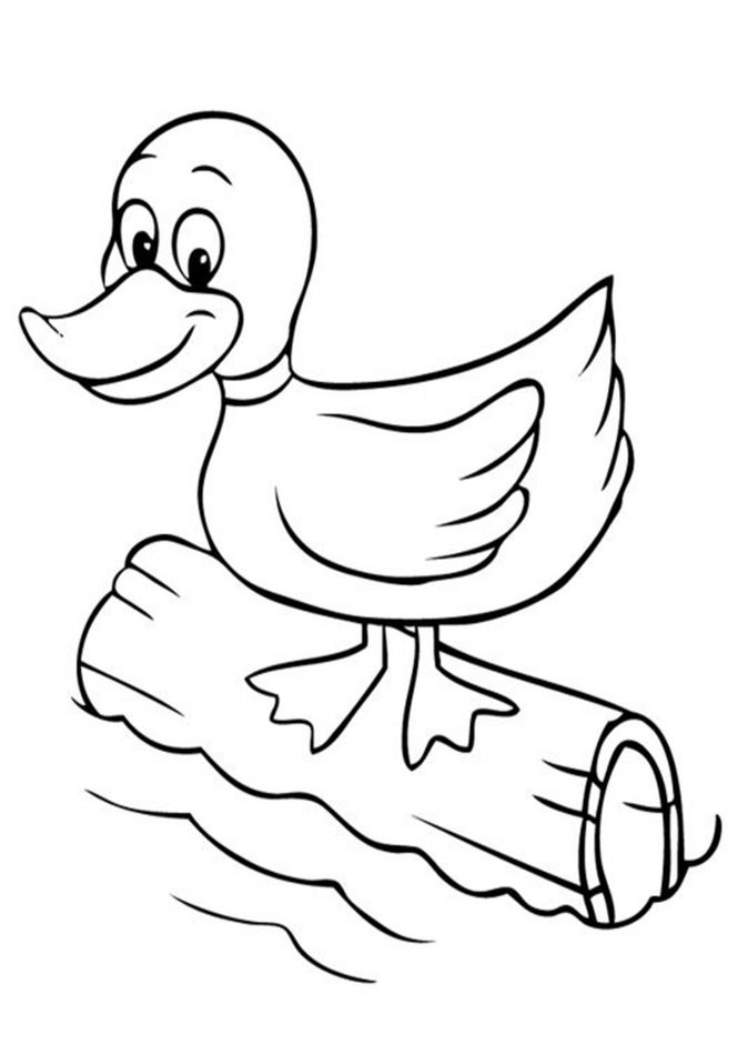 Free easy to print duck coloring pages