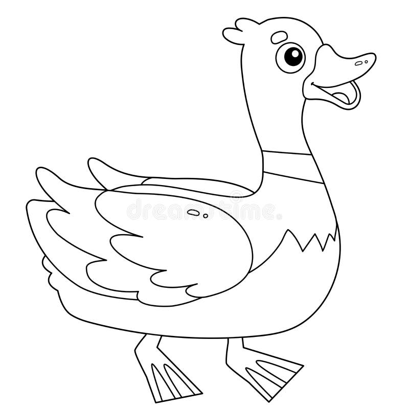 Duck colouring stock illustrations â duck colouring stock illustrations vectors clipart