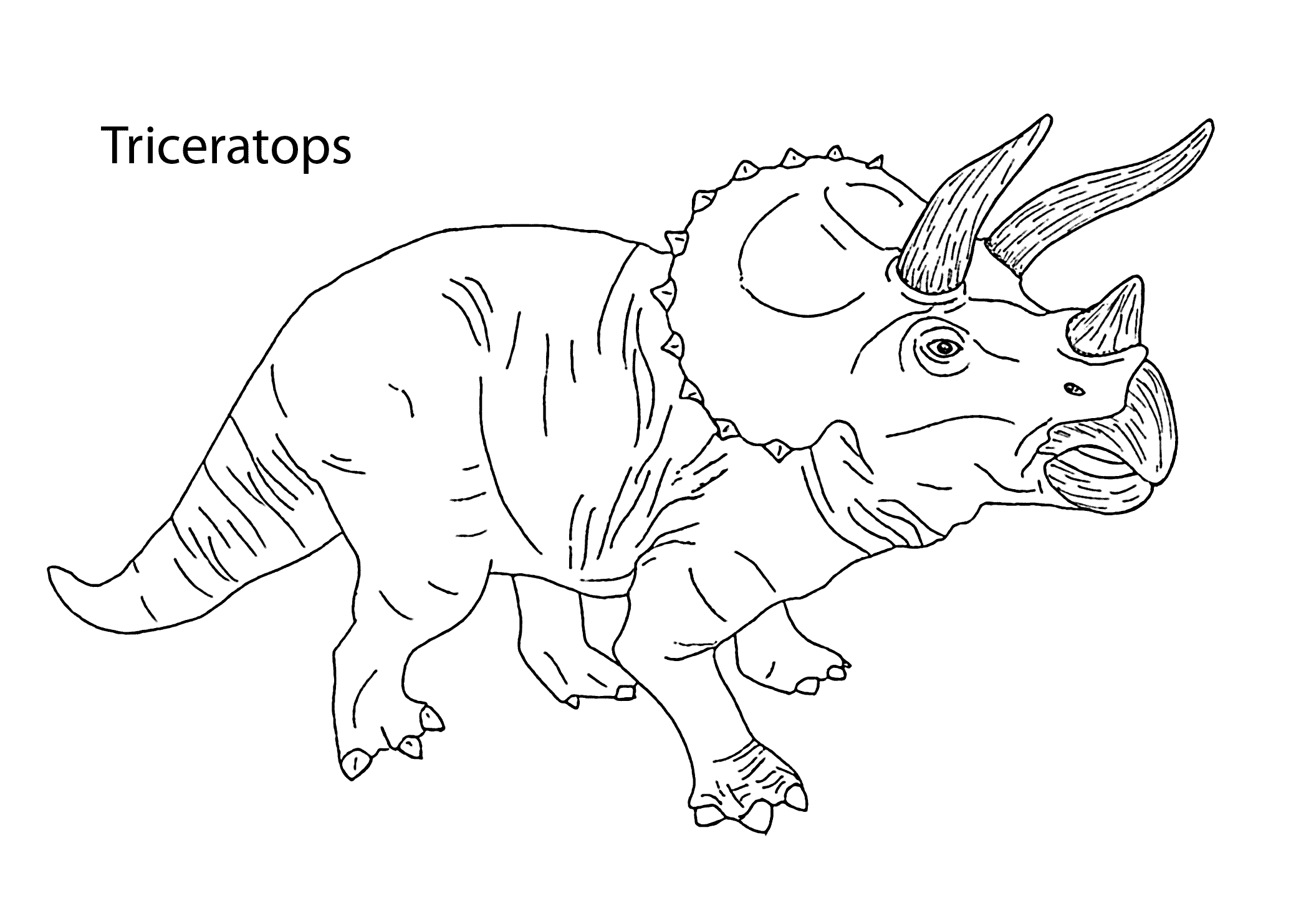 Triceratops dinosaur coloring pages for kids printable free dinosaur coloring pages animal coloring pages dinosaur coloring