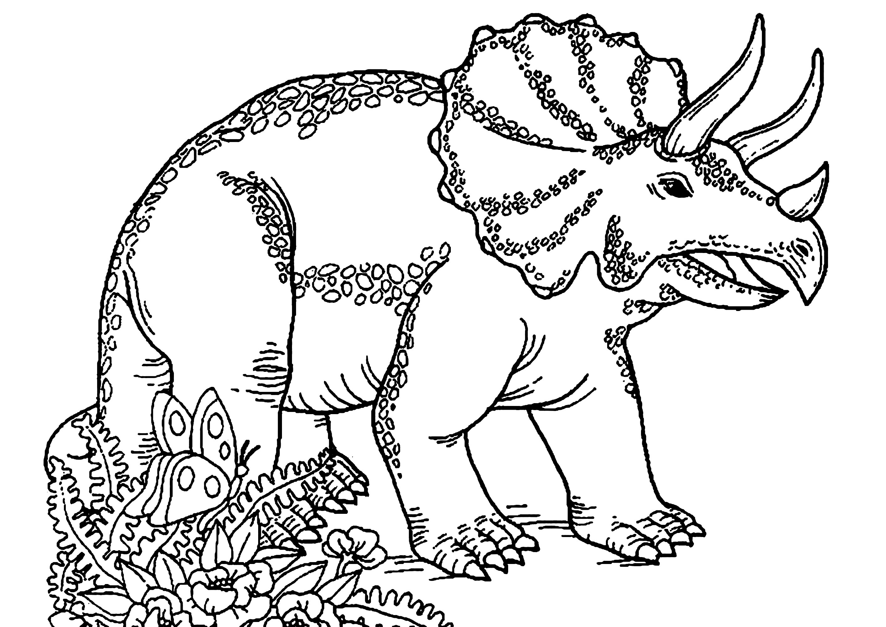 Triceratops