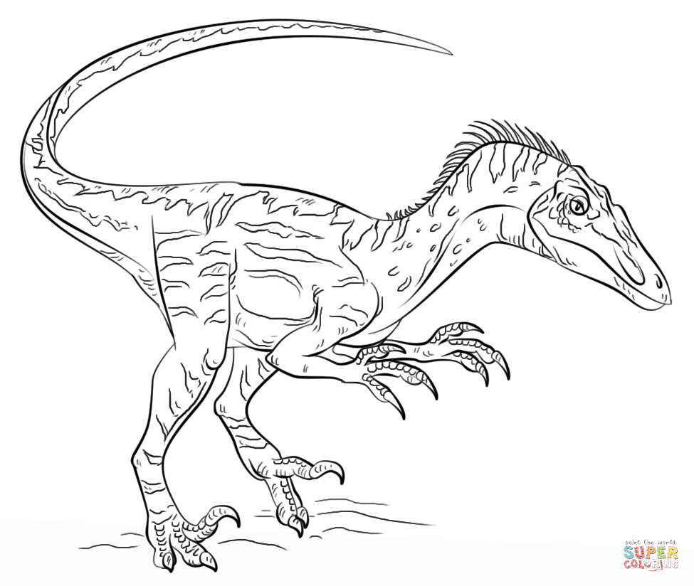 Velociraptor coloring page free printable coloring pages
