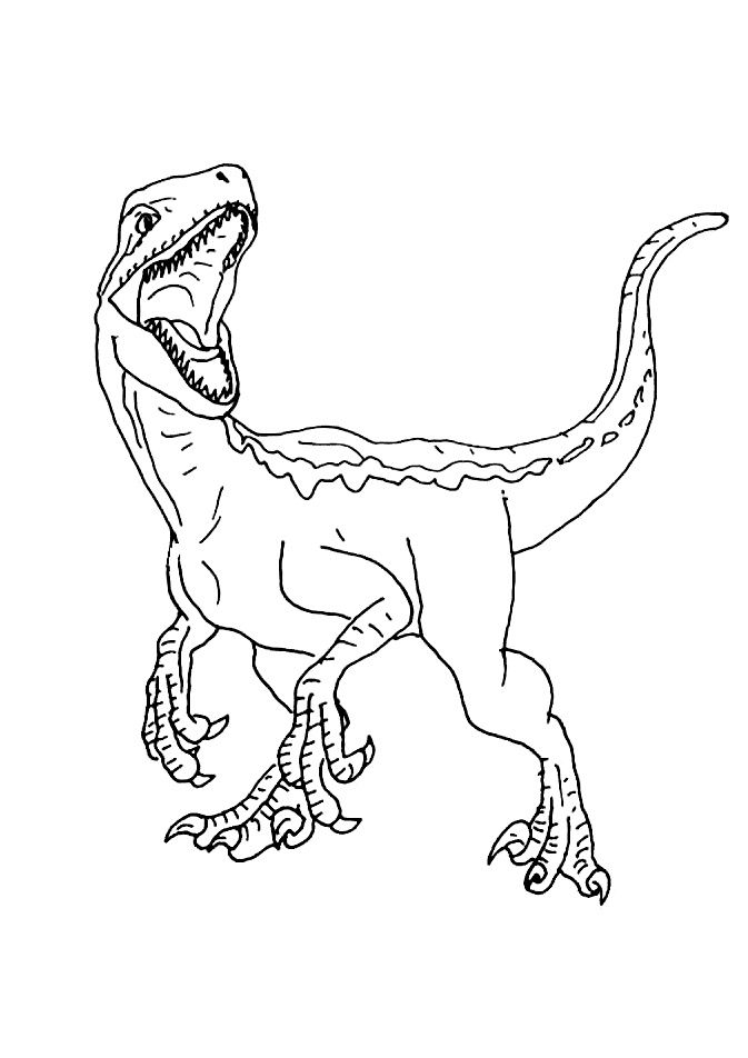Download or print this amazing coloring page jurassic world velociraptor coloring pages coloringâ dinosaur coloring pages blue jurassic world dinosaur coloring