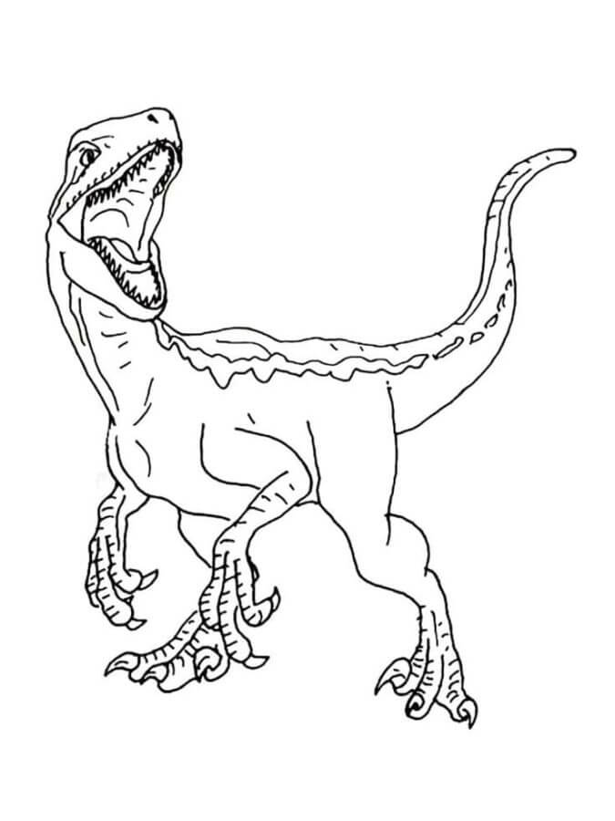 Velociraptor roar coloring page