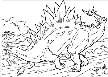 Dinosaurs coloring book awesome coloring pages with fun facts about t rex stegosaurus triceratops and all your favorite prehistoric beasts happy fox books designs for kids ages