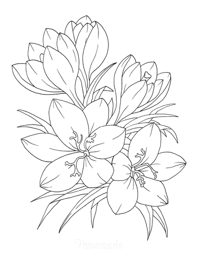 Free flower coloring pages for kids adults flower art drawing printable flower coloring pages flower drawing images