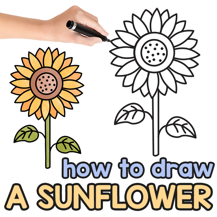 How to draw flowers archives