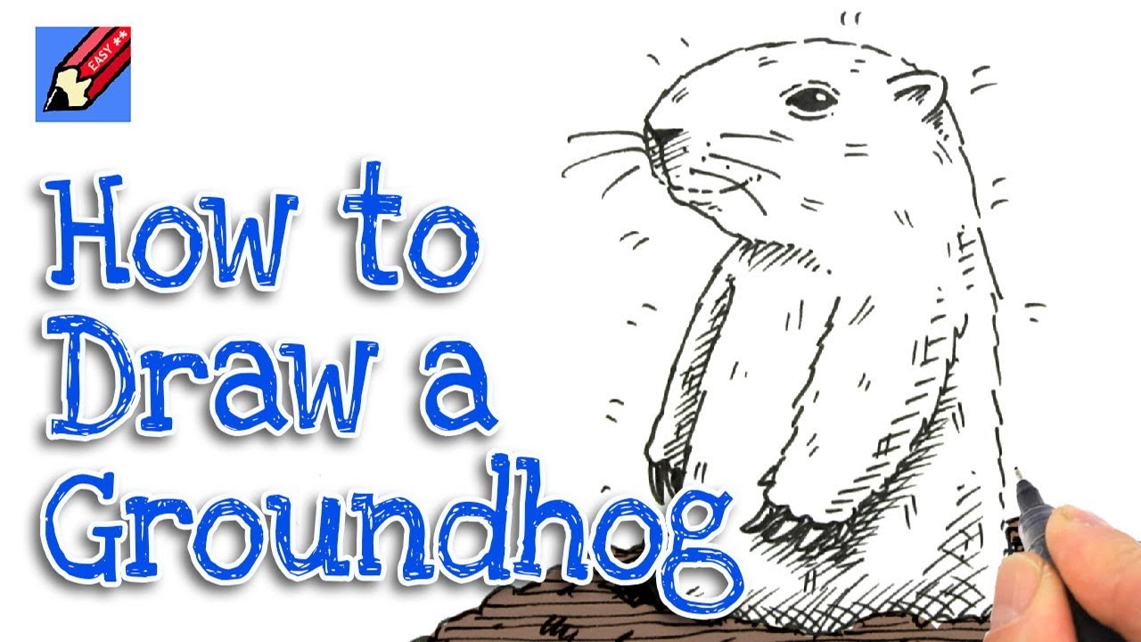 How to draw a groundhog real easy