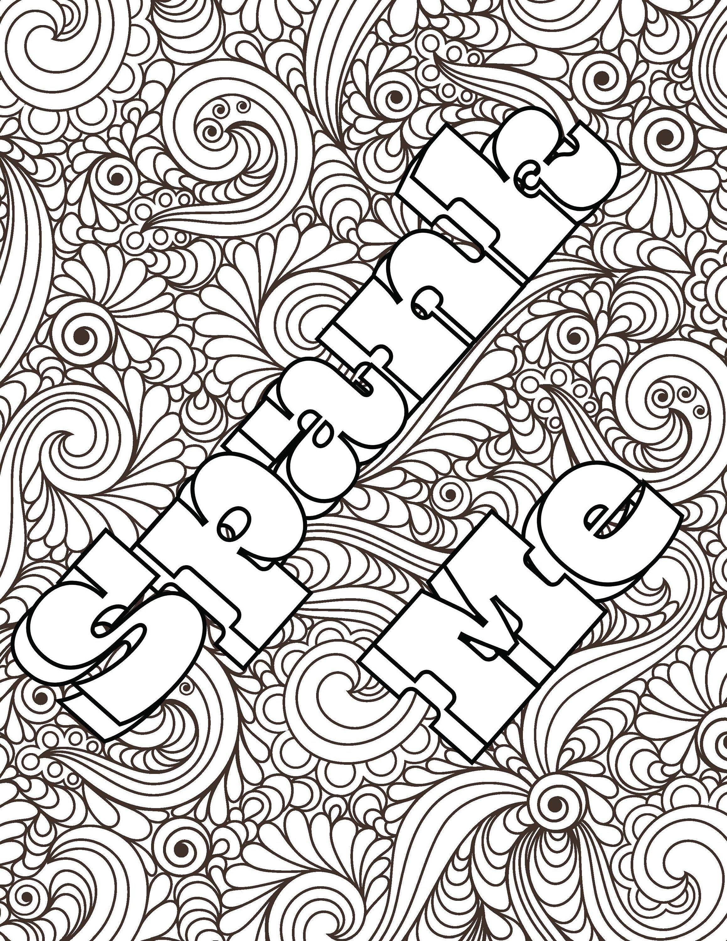 Page adults only dirty phrases colouring book