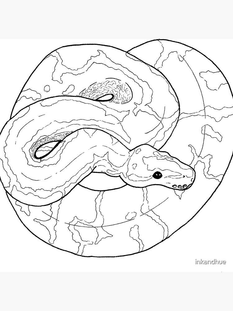 Ball python linework art board print for sale by inkandhue