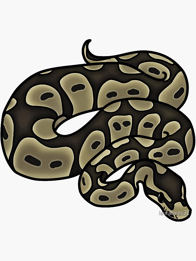 Ball python cute snake sticker for sale by laurabees