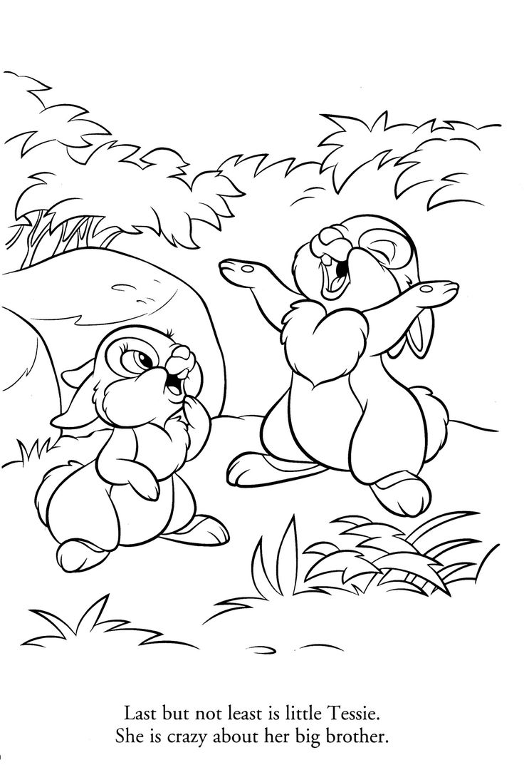 Disney coloring pages coloring pages spring coloring pages animal coloring pages