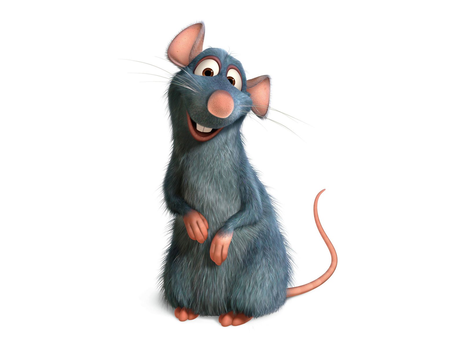 Ratatouille hd papers and backgrounds