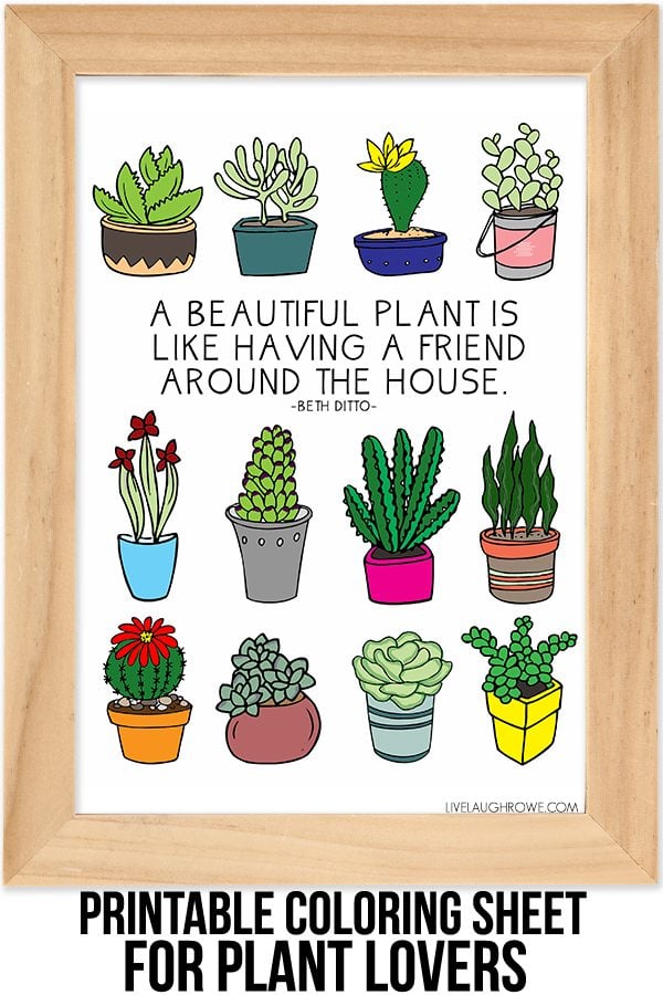 Coloring sheet for plant lovers