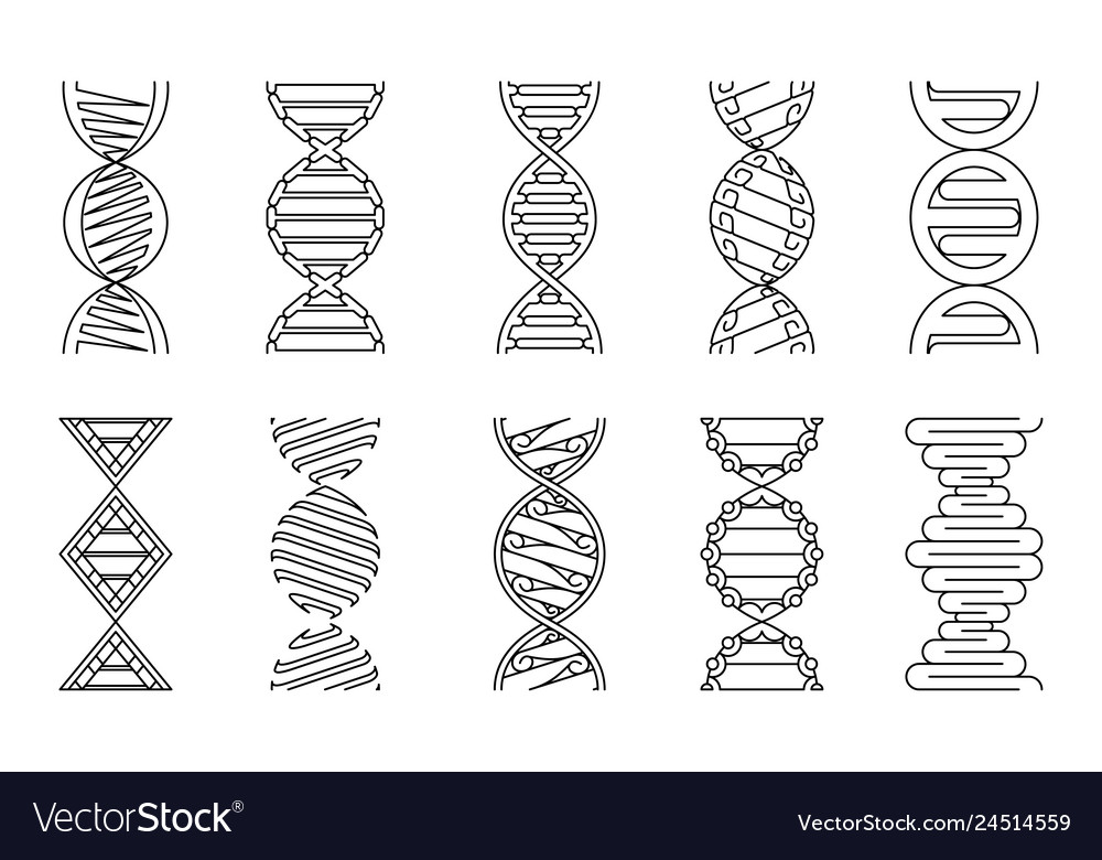 Dna icons set coloring book royalty free vector image