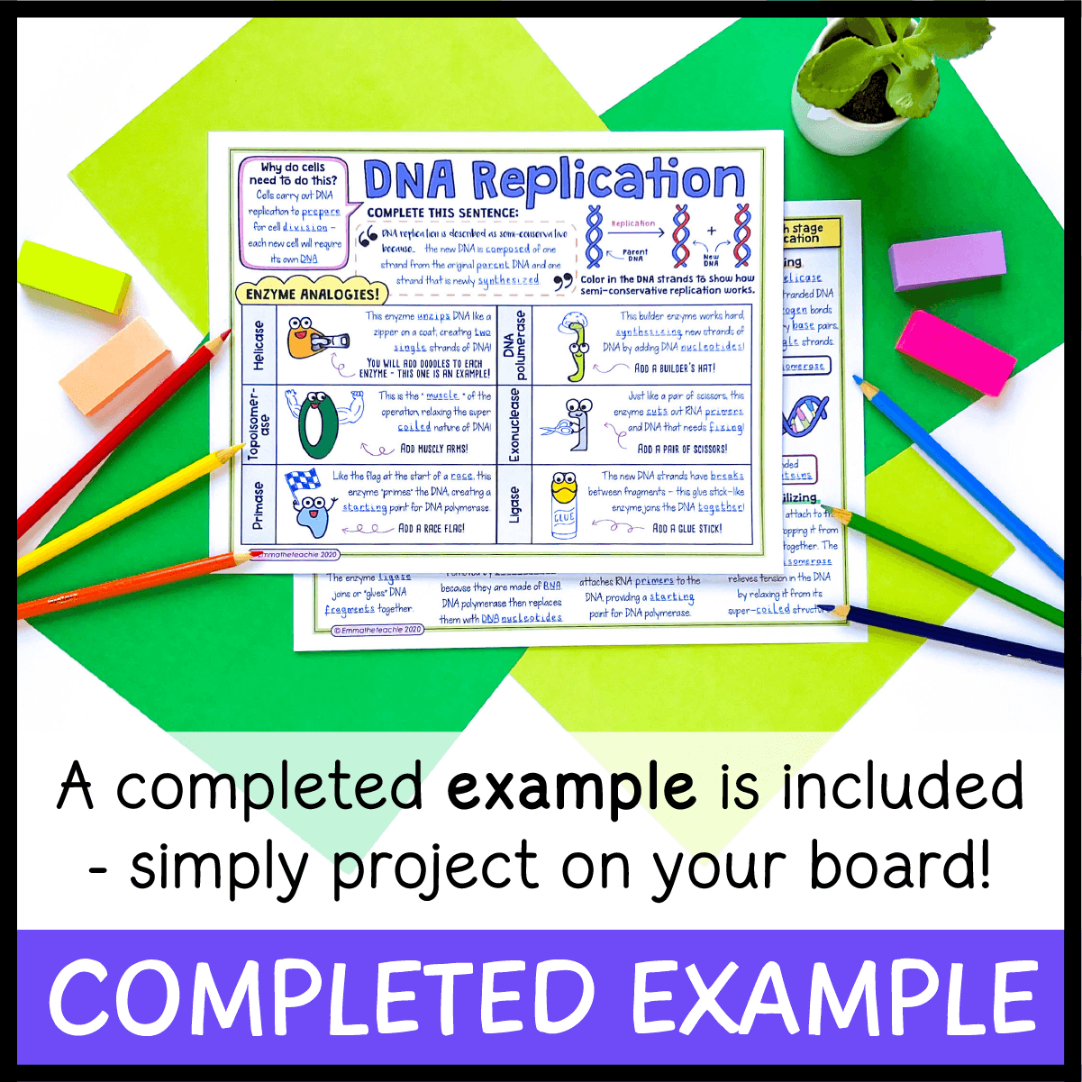 Dna replication doodle notes