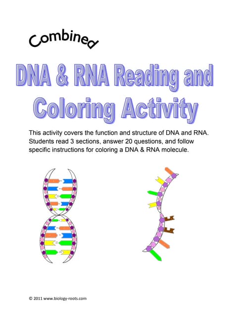 Dna coloring activitypdf