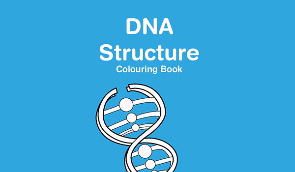 Dna structure colouring book â monkey pen store