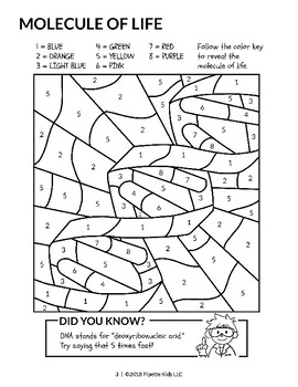 Color the dna worksheet pipette kids science coloring book by pipette kids