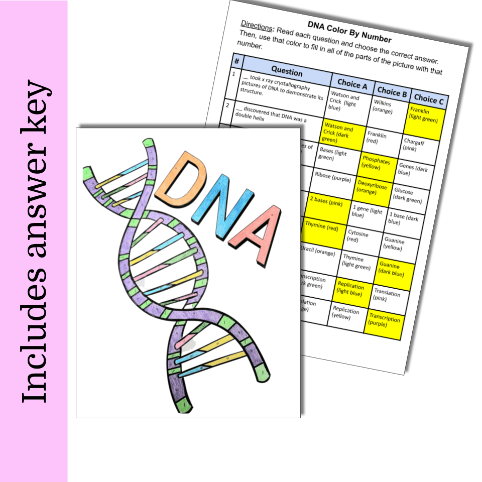 Dna pdf color by number