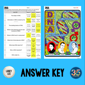 Dna color by number science