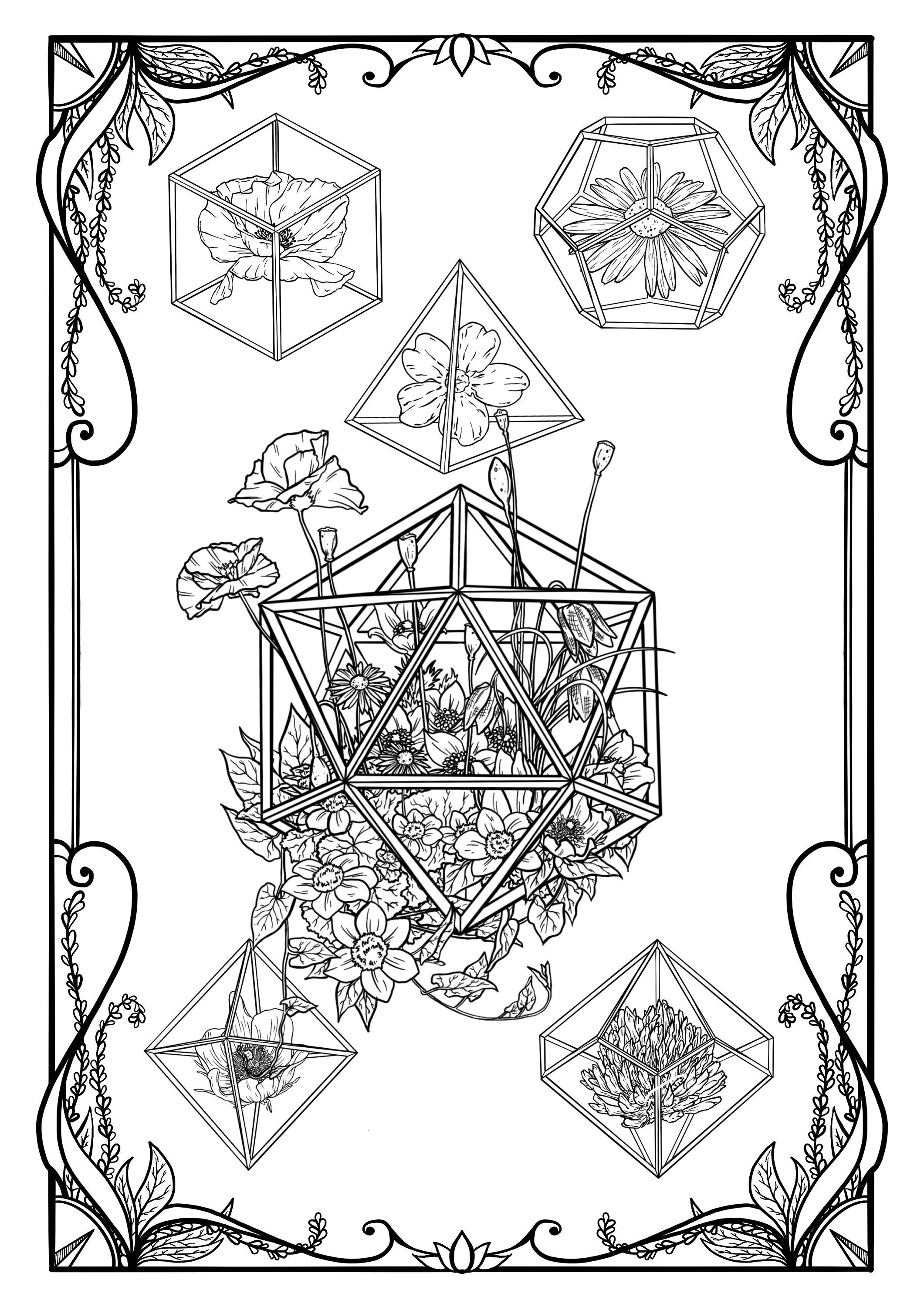 Wild flower rpg dice colouring page jpg