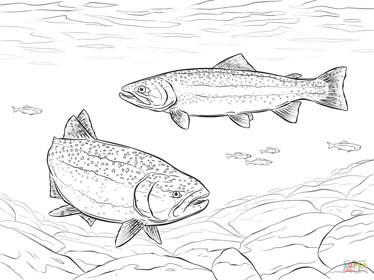 Rainbow trouts coloring page free printable coloring pages