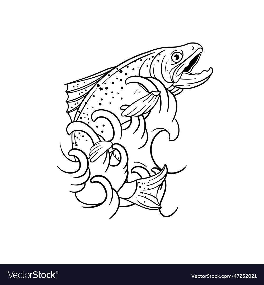 A trout jumping in from the water outline vector image