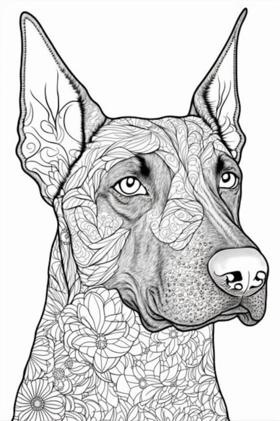 Coloring pages doberman dogs decorated with flowers and mandalas digital download instant download