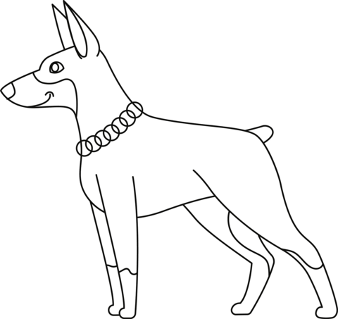 Doberman coloring page free printable coloring pages