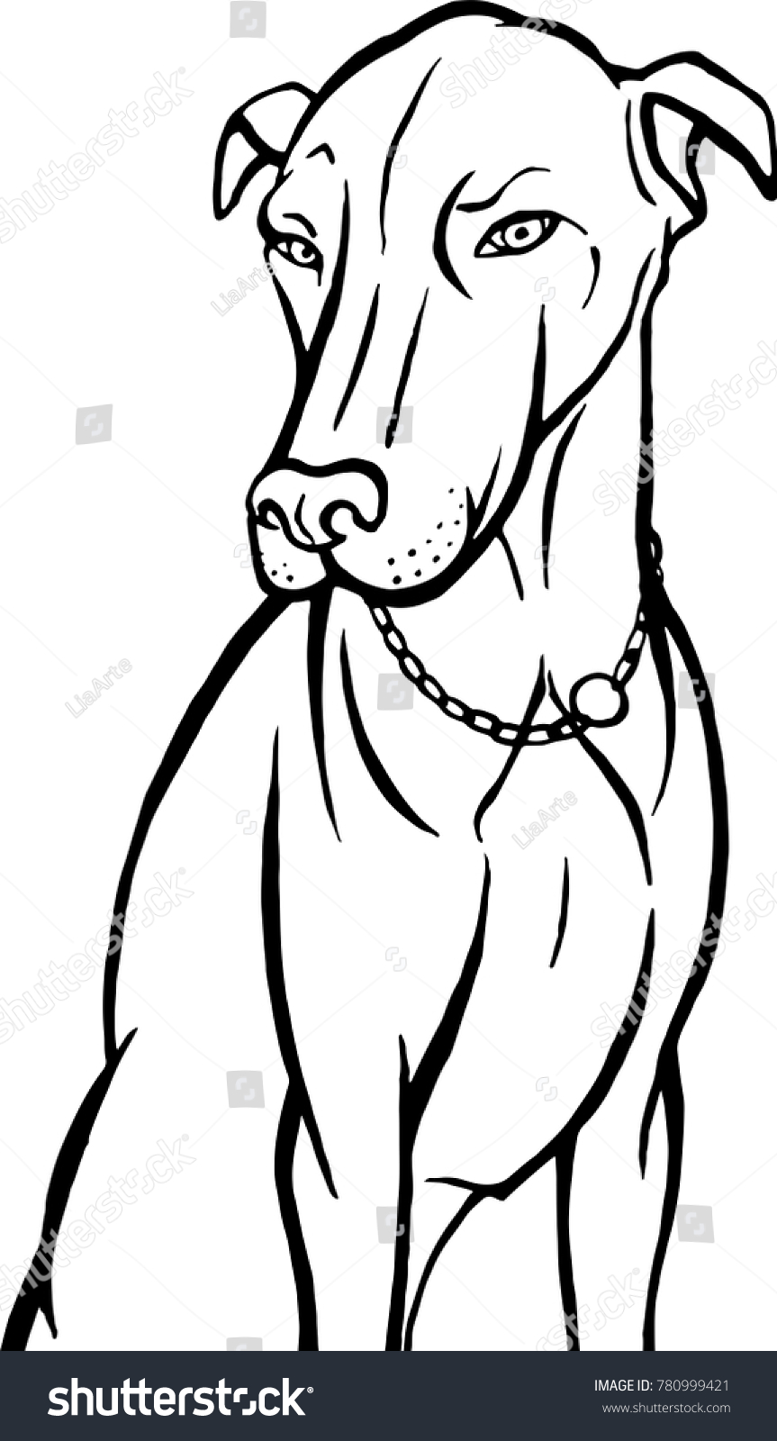 Beautiful sitting dog doberman outline coloring stock vector royalty free