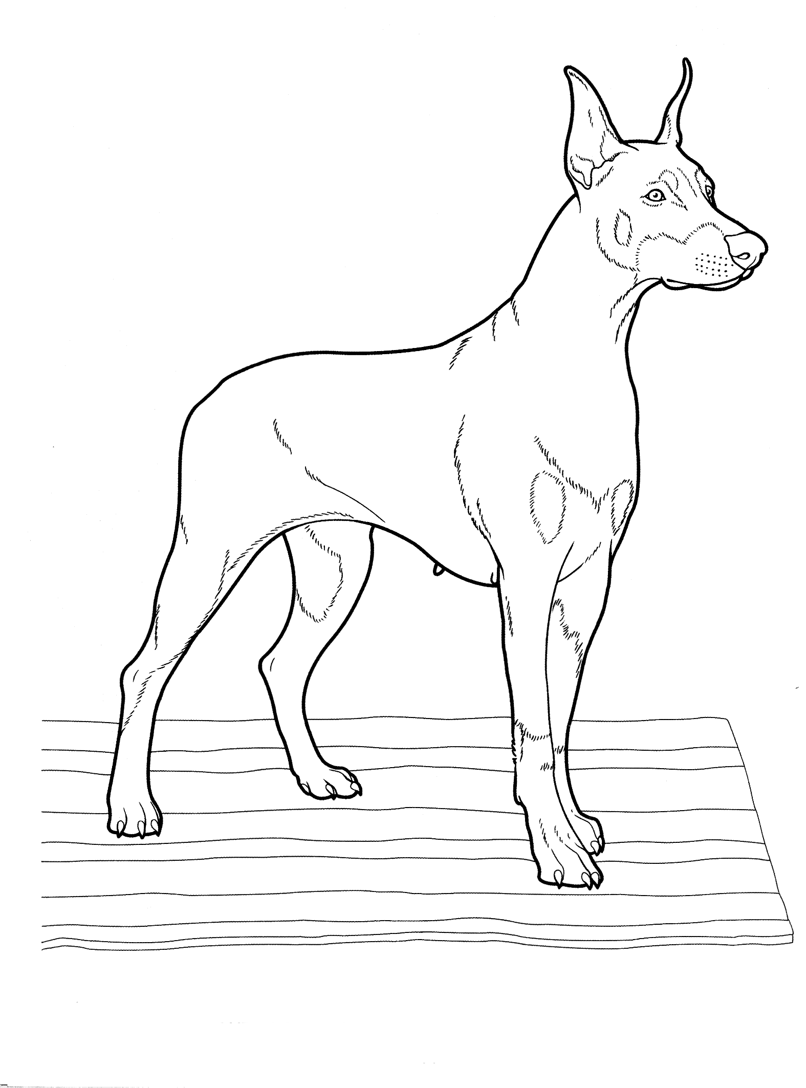 Coloring page