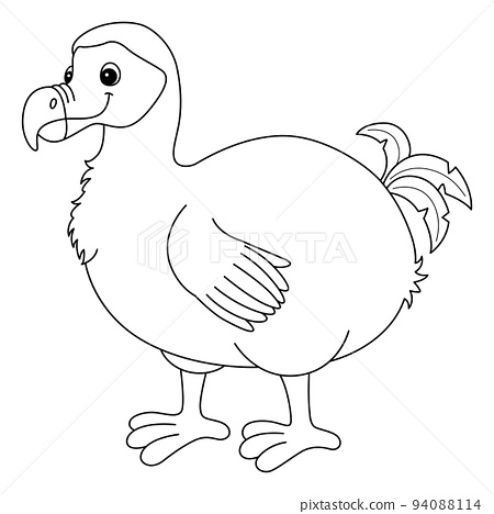 Dodo animal isolated coloring page for kids