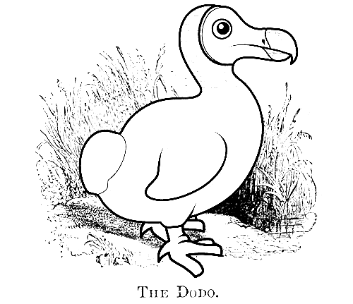 Dodo coloring page
