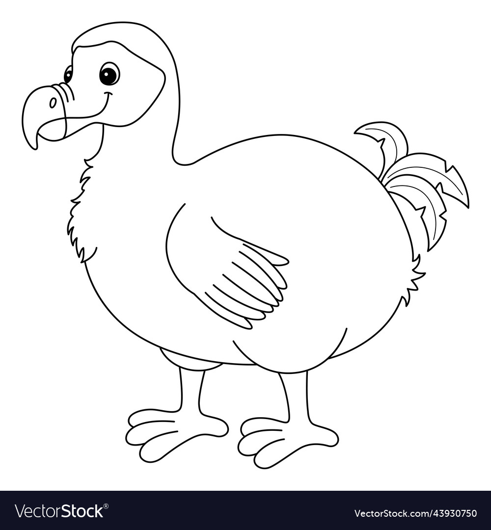 Dodo animal isolated coloring page for kids vector image