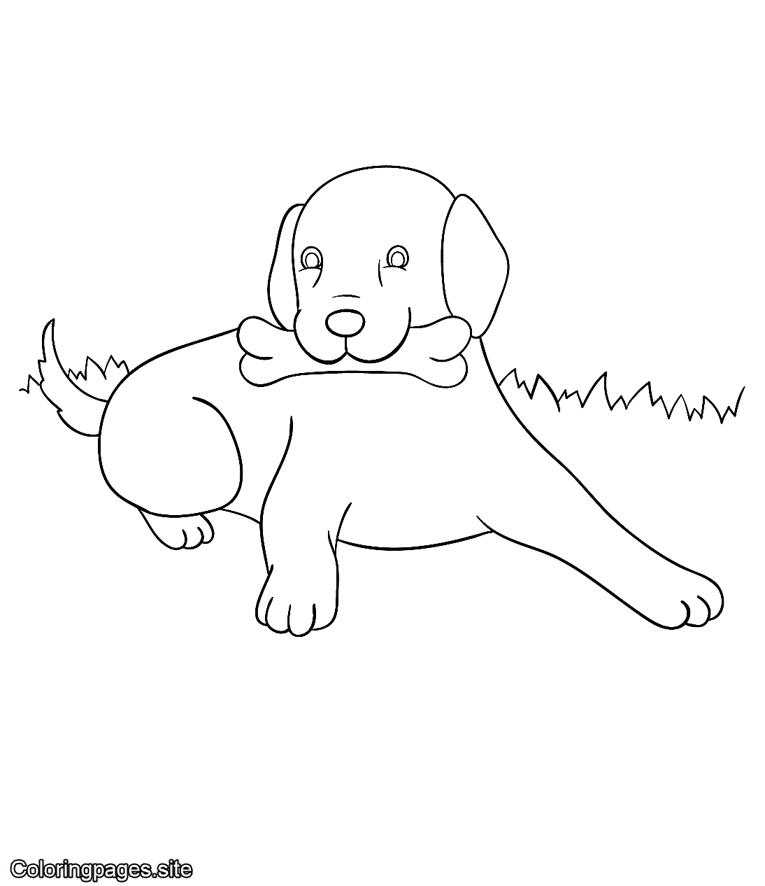 Dog holding a bone coloring page