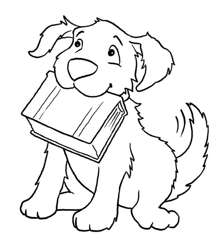 Books coloring pages