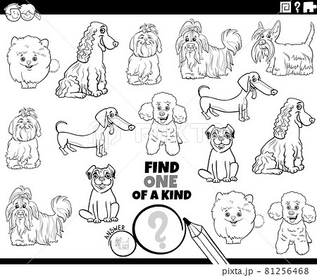 One of a kind game with dog breeds coloring