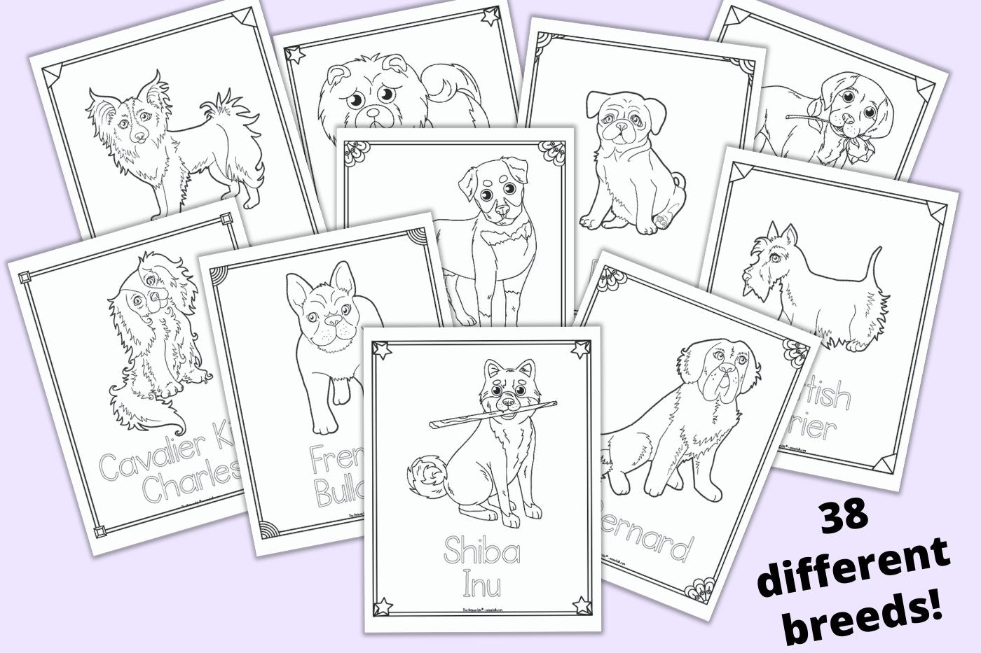 Dog breed coloring pages â the artisan life