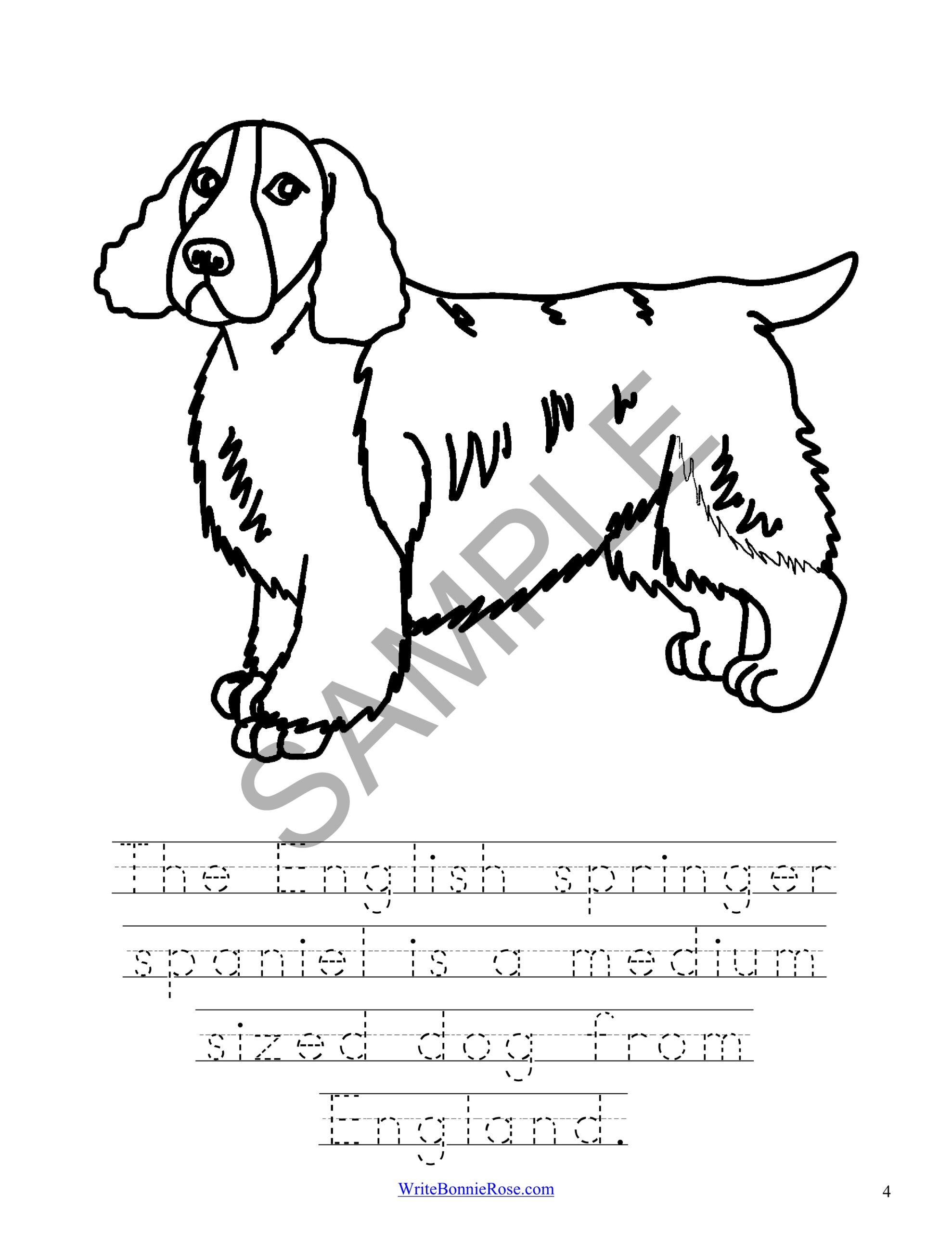 Learning about dog breeds coloring book