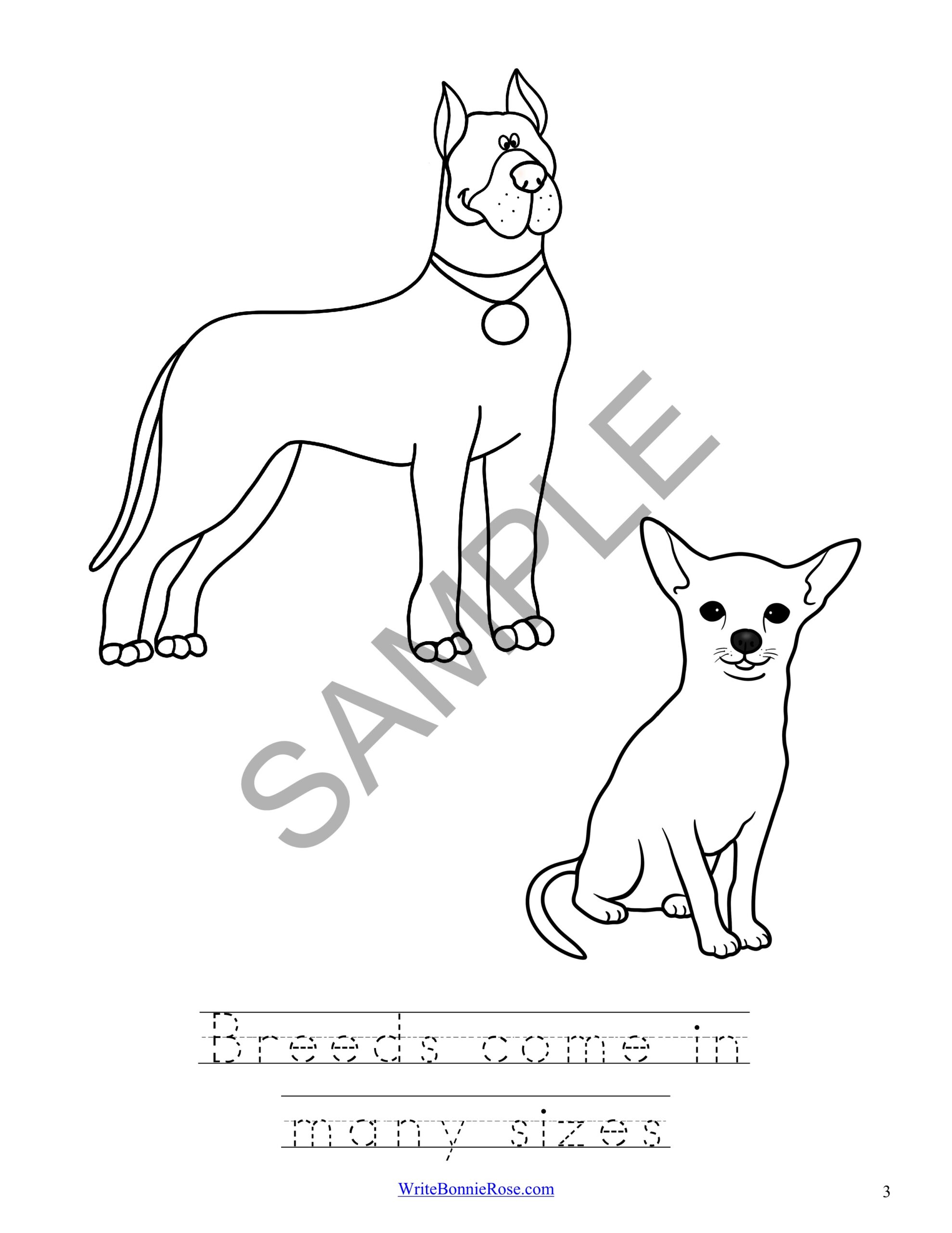 Learning about dog breeds coloring book