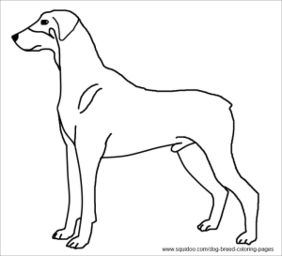 Dog breed coloring pages