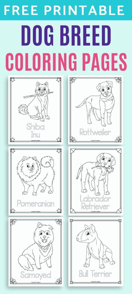 Free printable dog breed coloring pages for kids free kids coloring pages coloring pages for kids dog coloring page