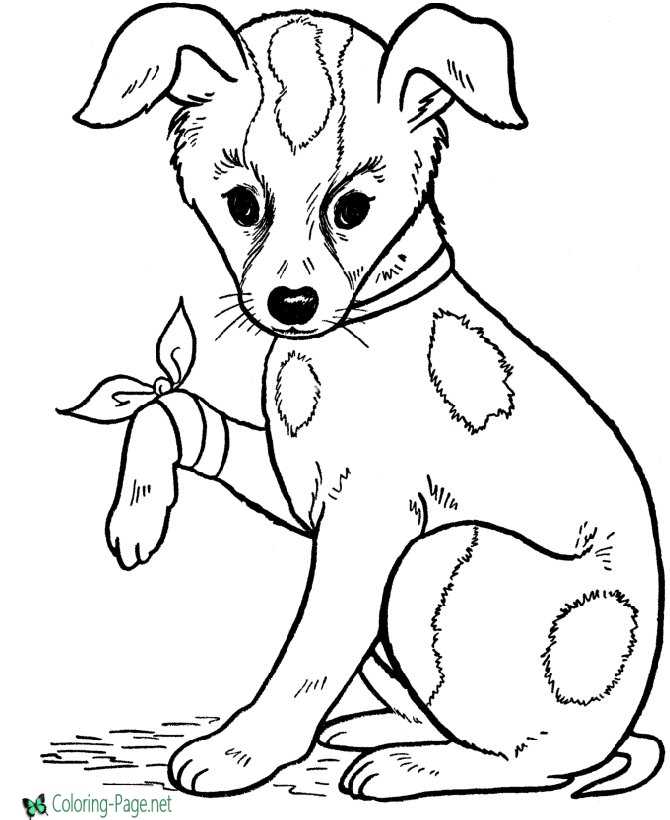 Dog coloring pages