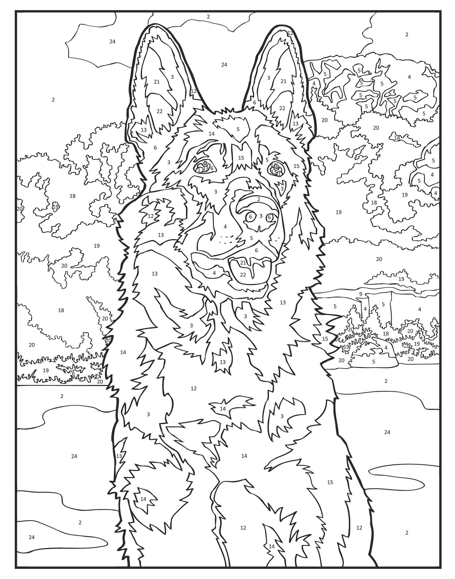 Dogs color by number coloring book