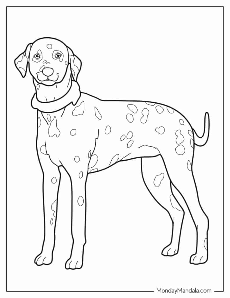 Dog coloring pages free pdf printables