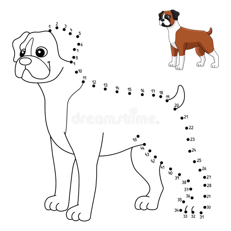 Dot to dot boxer dog coloring page for kids stock vector