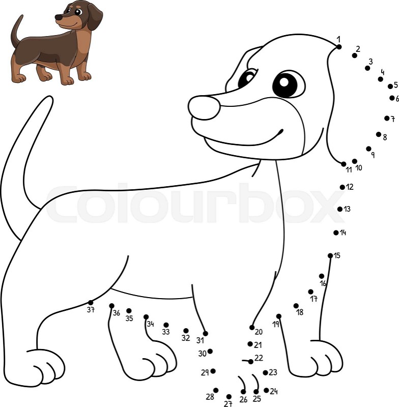 Dot to dot dachshund coloring page for kids stock vector