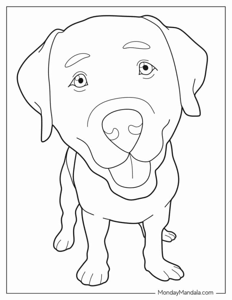 Dog coloring pages free pdf printables
