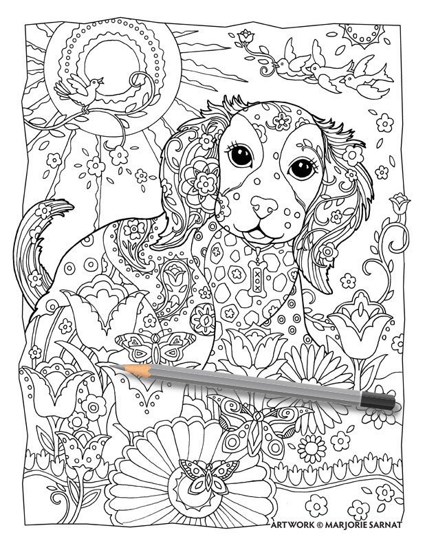 Dazzling dogs â marjorie sarnat design illustration