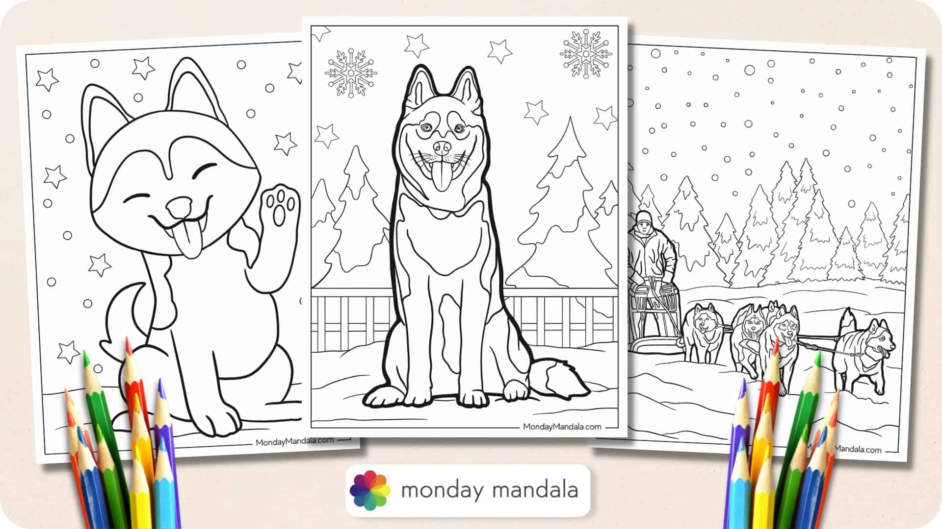 Husky coloring pages free pdf printables